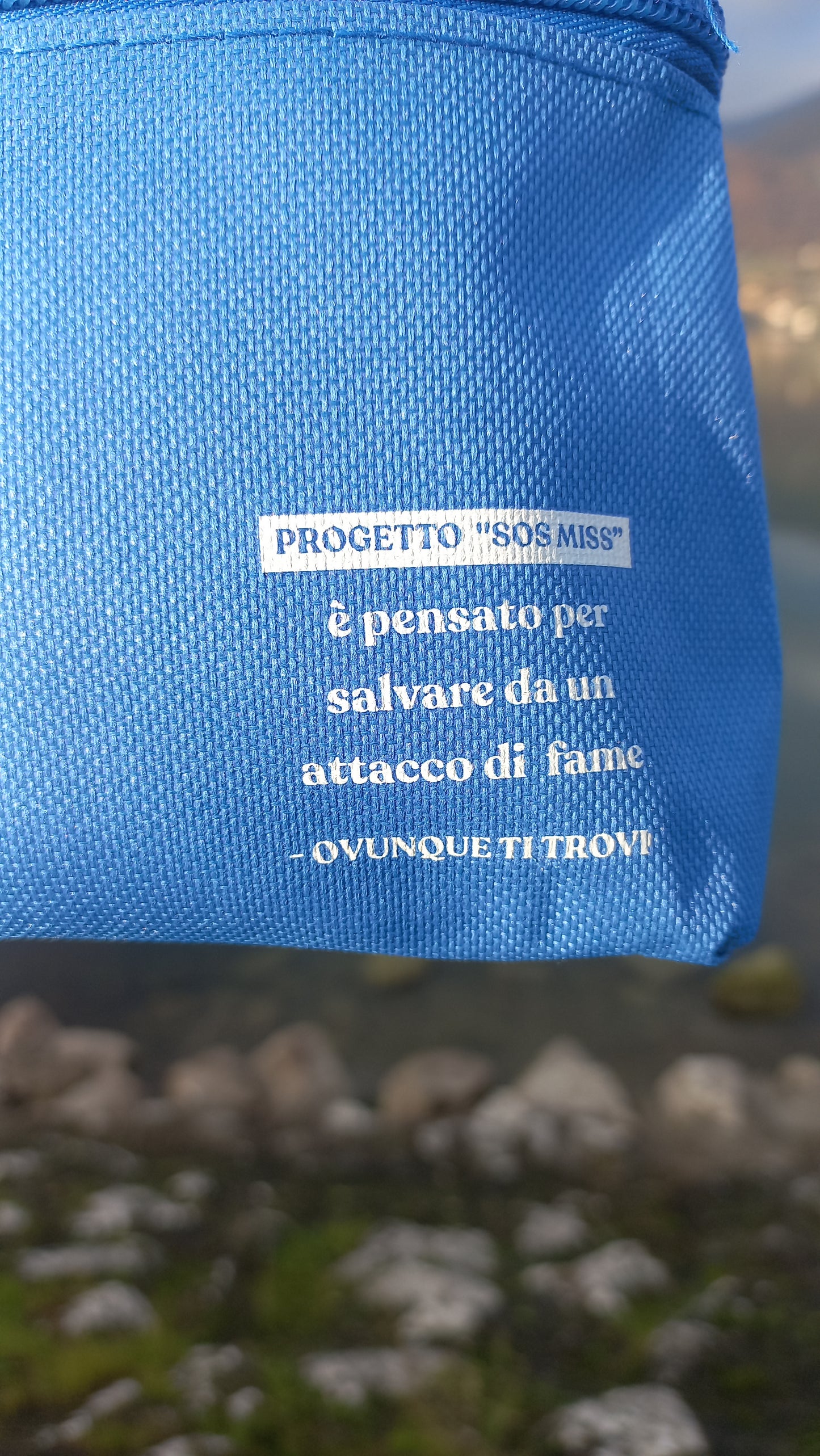 Pochette REBELOT - Chaos/Mess -